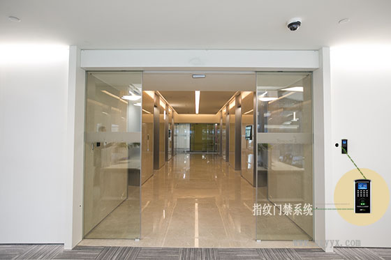 鋼化玻璃香蕉视频成人在线-騰訊案例圖片
